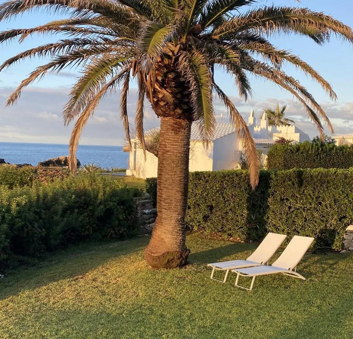 Villa Bini Sac Binissafuller